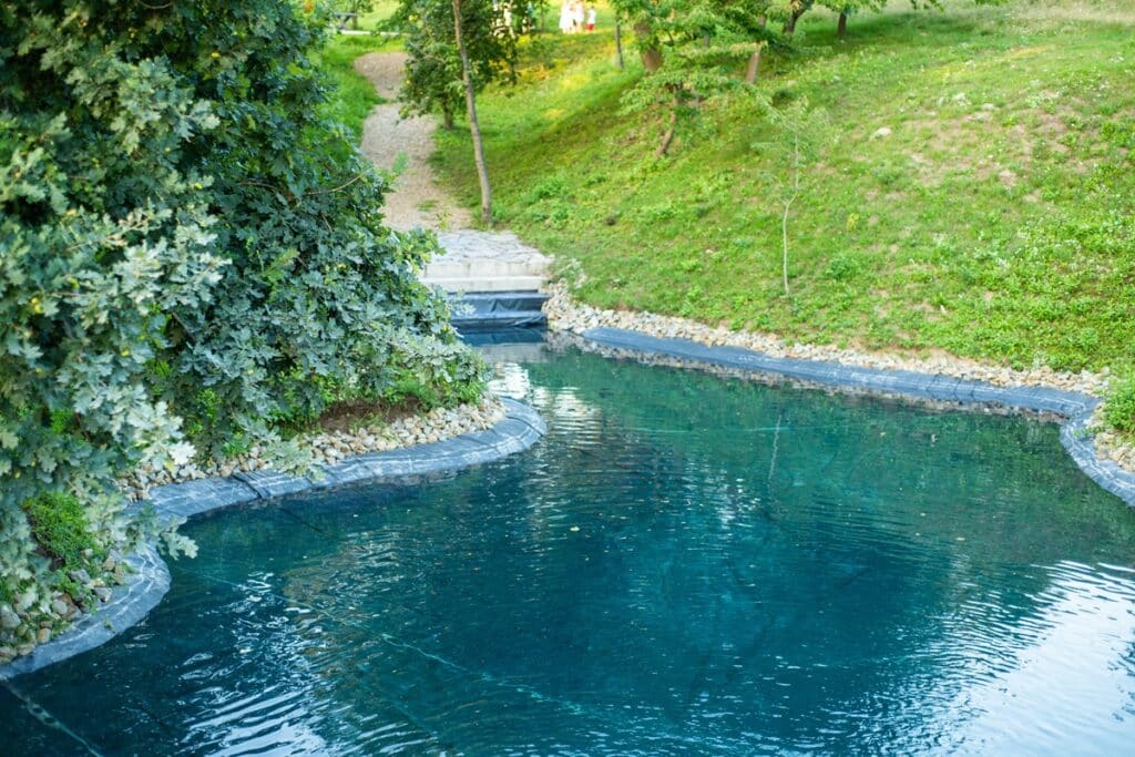 piscine naturelle